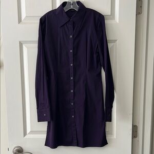 Express Elegant Purple Women's Shirt Dress